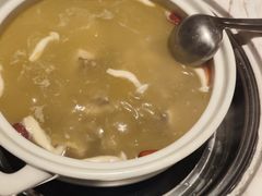 -汤城·料青山