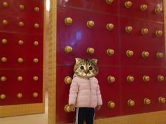 -北京广电国际酒店