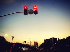 -上海市民办金苹果学校