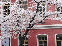 -浙江省杭州高级中学(贡院校区)