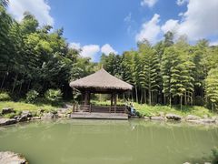-兰亭风景区