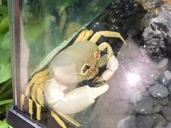 -山东省科技馆(新馆)