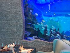 -瑞德姆美人鱼海底演艺主题餐厅(亚龙湾店)