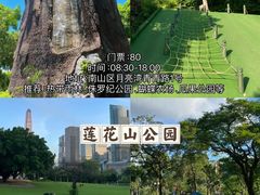 -云里梦想乐园