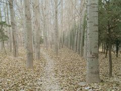 -中关村生命科学园