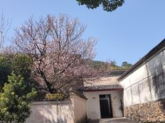 -阿育王寺