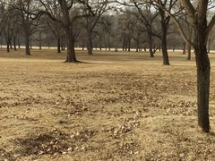 -承德避暑山庄景区