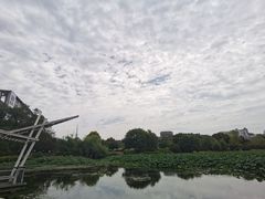 -月湖风景区