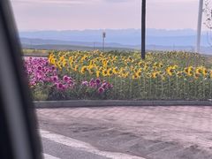 -特克斯八卦城