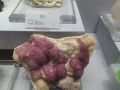 -湖南省地质博物馆