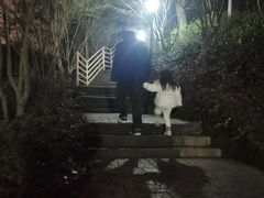 -大金鹰园
