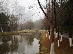 -沐仙湖湿地公园