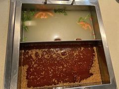 -龙福成肥牛火锅(文昌店)