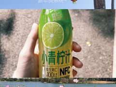 -海珠湖公园