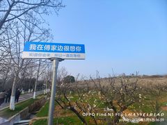 -南京市溧水区傅家边梅花山弄山庄