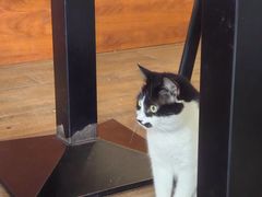 -路易时光(蕴川路店)