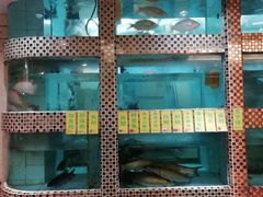 -品鱼庄酒家(新世界大酒店店)