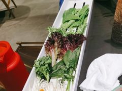 -南门四季铜锅涮肉(大屯·北苑店)