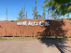 -四明湖