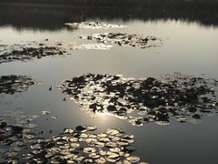 -长兴太湖图影湿地文化园