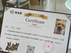 -美迦爱-牙专科·兔科·骨科诊疗中心(北苑店)