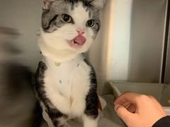 -纳吉亚猫专科动物医院博雅分院