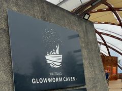 -怀托摩萤火虫洞