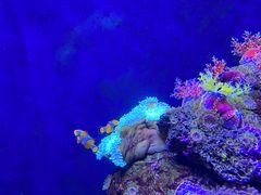 -成都浩海立方海洋公园