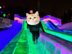-沈阳奥体冰雪嘉年华