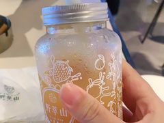 -野萃山·潮汕厚果汁(十亩地店)