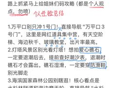 -日照海滨国家森林公园