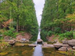 -东平国家森林公园