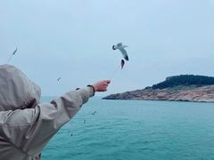 -海驴岛(荣成市)