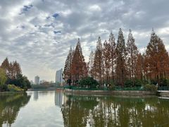-黄兴公园