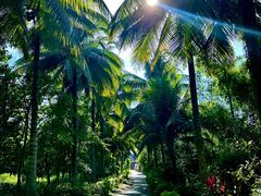 -西双版纳傣族园