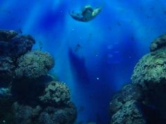 -福州罗源湾海洋世界旅游区