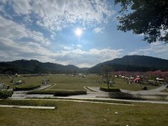 -风云岭森林公园