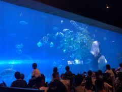 -华夏文旅海洋公园