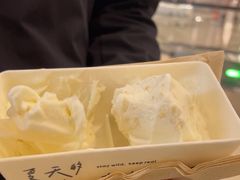-野人先生现做冰淇淋(北京王府井东方新天地店)