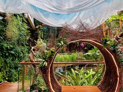 -正佳雨林生态植物园