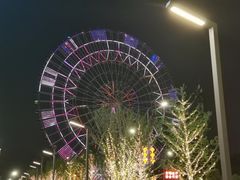 -南昌之星摩天轮