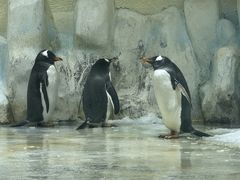 -威海华夏城景区