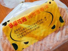 -苹果花园(龙漕路店)