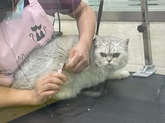-暖阳宠物医院·犬猫康复中心·骨科