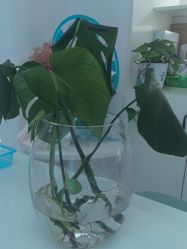 -斐尔国际皮肤管理中心