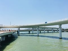 景点-演武大桥观景平台