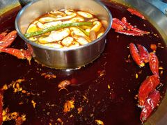 -大龙燚火锅(春熙店)