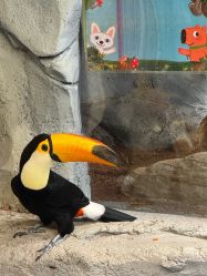 -Zoolung Zoolung动物主题公园(海信广场店)