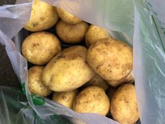 -岳各庄批发市场(西四环中路店)