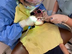 -齐玉齿科JADENTAL